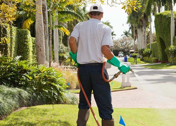 About Beckville TX Pest Control